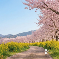 青空の下、満開の桜並木と菜の花が彩る小道。小さなキャラクターがにこやかにお花見をしながら花を持って佇む、穏やかな春の風景。実写とキャラを合わせた温かみのあるAIイラスト。